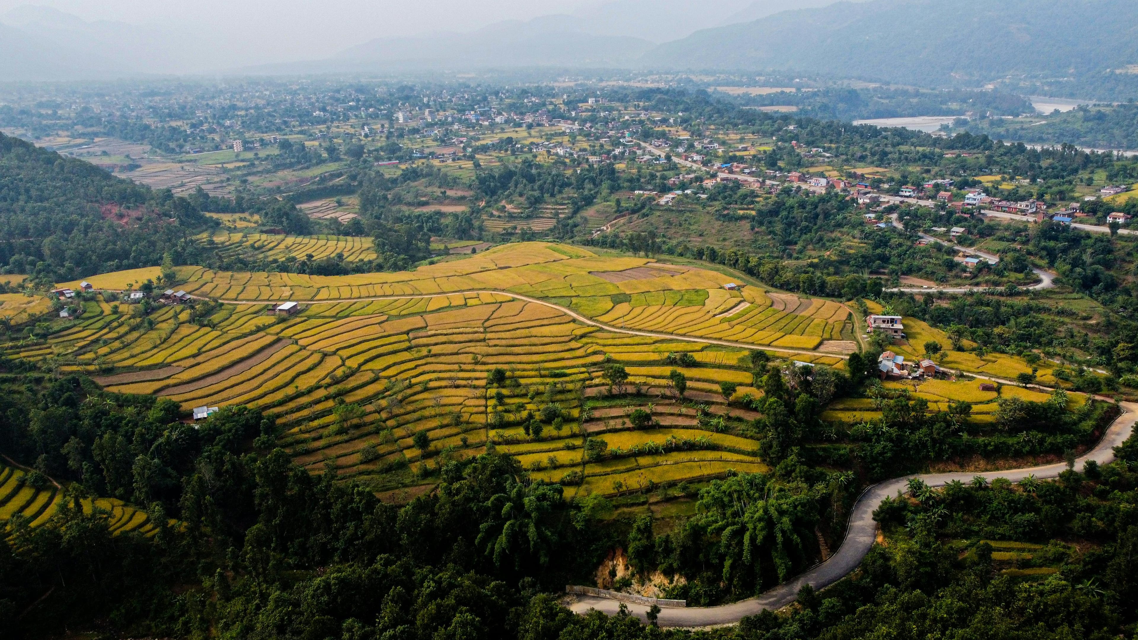 100% organic Himalayan food products from Nepal — Anupam Prakriti