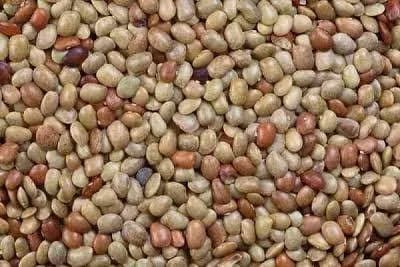 Gahat Dal Benefits: A Traditional Himalayan Protein-Rich Food